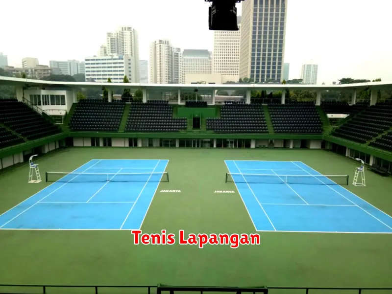 Tenis Lapangan