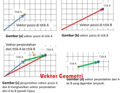 Pengertian Vektor dalam Geometri dalam Matematika