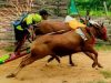 Inilah Beberapa Daftar Tradisi dan budaya diJawa Timur