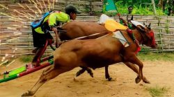 Inilah Beberapa Daftar Tradisi dan budaya diJawa Timur