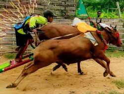 Inilah Beberapa Daftar Tradisi dan budaya diJawa Timur