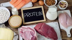 Inilah Daftar Makanan Tinggi Protein Baik untuk Tubuh