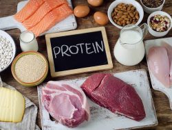 Inilah Daftar Makanan Tinggi Protein Baik untuk Tubuh